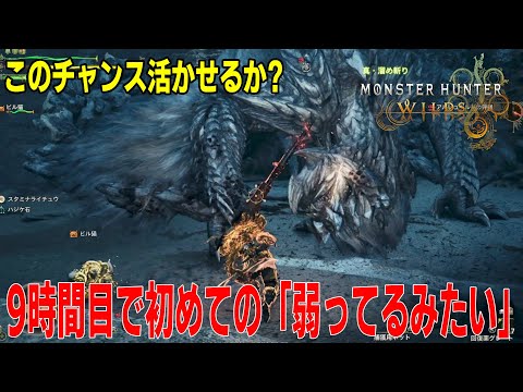 [MONSTER HUNTER Wilds] 9時間目にして初めての弱ってるみたいの通知に喜びと共に空を見上げ続けた男