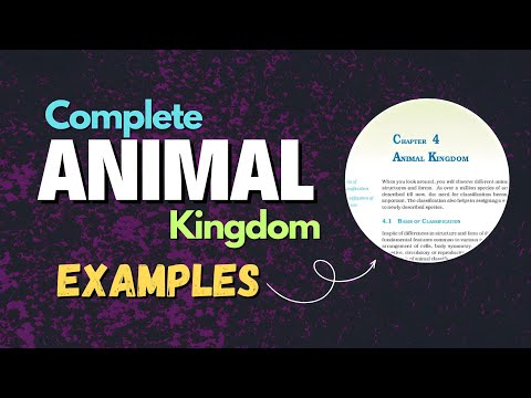 Animal Kingdom Examples for NEET 2025 – Master All Phyla in 2 Minutes!!