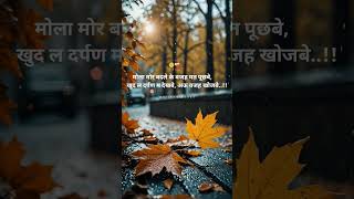 🥺❤️‍🩹😔🎀✨#cg #cgsong #cgreels #cglover🦋❤️❤️❤️ #cglovers #cglove #cgshayari #follow #view #viral