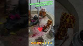 🙏🙏meri tho subha bi app sea hi hoti hai baba or shyam bi bs app khabi  sath Mt chodna mera baba 😊😊🙏🙏