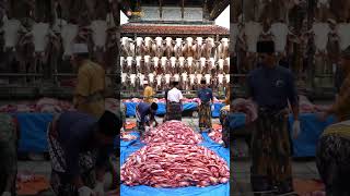 Masya Allah! Gunungan Daging Sapi Kurban di Depan Masjid #shorts #sapi #cow