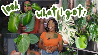 I Just Expanded My Plant Collection 🌿 (Imports, Wishlists & More!)