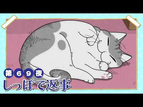 アニメ『夜は猫といっしょ』第69夜「しっぽで返事」