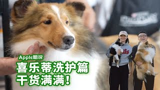 喜乐蒂洗护篇干货满满