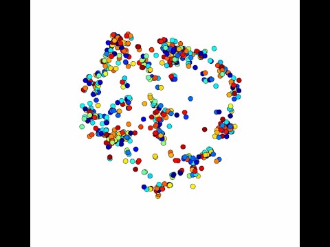 Virial Star Clusters