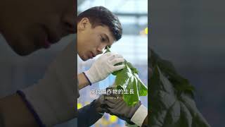 自然農法是什麼?#primona夢幻雞 #自然 #尊重 #生態 #平衡 #可持續性 #自我調節 #和諧共存#shorts【primona 夢幻雞】