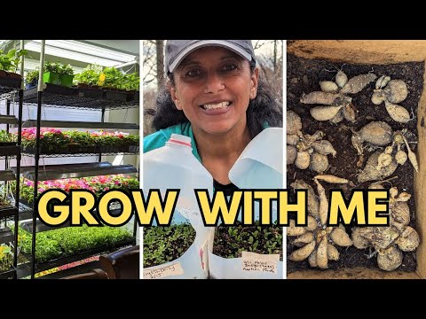 What YOU'LL Need To GROW With Me in 2025 🌸💪🏼 Indoors & Outdoors