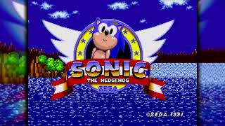 Sonic 1: Return to the Origin | Sonic Fan Hacks