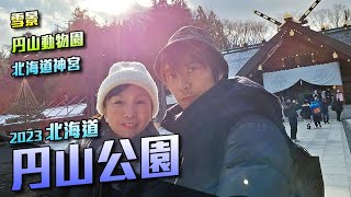 北海道神宮 - 円山公園 動物園 札幌 - 2023 北海道旅 DAY3 - [粵語中字] 日本 旅遊 攻略 景點 推薦 自由行 觀光 雪景 神社 動物園 [VLOG]