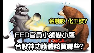 fed官員小鴿變小鷹 台股神功護體該買哪些? 金融股? 化工股?