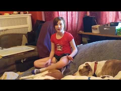 Puppy SNAFU: adopting dogs