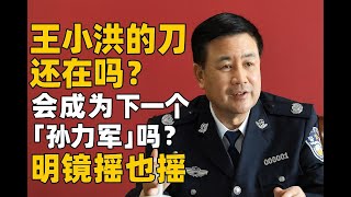 王小洪的刀還在嗎？公安部大換血，他會成為下一個“孫力軍”嗎？｜明鏡搖也搖