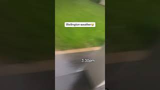 Wellington Weather: Only In NZ