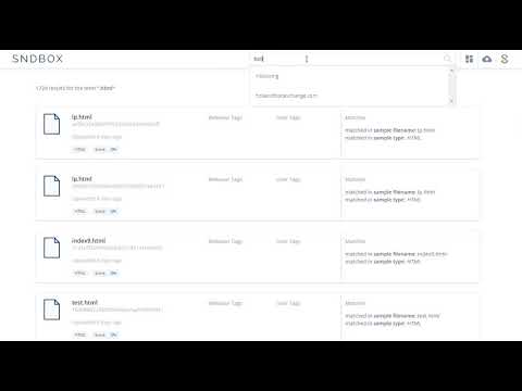 SNDBOX Search: AI-Powered Free Online Malware Analysis Platform
