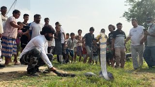 कुकुरमारा इलाके में सो रही बूढ़ी मां के घर में, दुनिया का सबसे जहरीला किंग कोबरा कैसे रेस्क्यू किया।