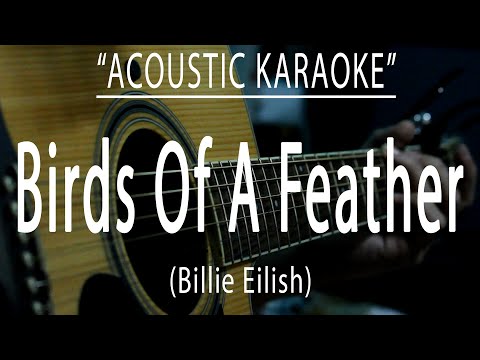 Birds Of A Feather - Billie Eilish (Acoustic karaoke)