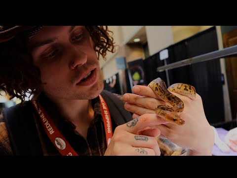 NARBC st. Louis  (Day 1￼)