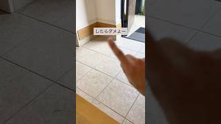 玄関掃除これ知ってた？#掃除方法  #ズボラ #簡単掃除  #家事ラク  #ラク家事 #時短掃除 #ダイソー #玄関掃除 #玄関