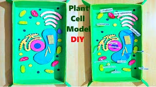 plant cell model 3d for school science fair project | DIY | howtofunda | biology project | still