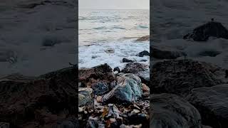 #beach #peacefulwaves #oceannoise #waves #oceansound #ocean #oceansounds #nature #soothing #travel