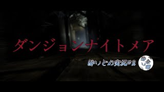 【ダンジョンナイトメア】酔いどれてたらホラーゲームなんかこ...怖くないし【#2】
