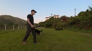 K9 犬隻訓練 ( K9 TRAINER COURSE　入門　2021) 四月份學生學習花絮