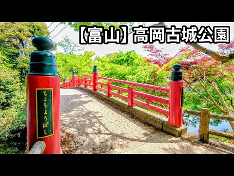 Walking through Takaoka Castle Park in Toyama | A walk with a spectacular view of fresh greenery