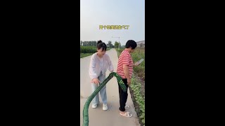 农村搞笑段子