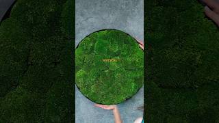 Картини із стабілізованого моху #картини #мохдекор #стена  #greenwall #walldecor #mossdecor #wallart