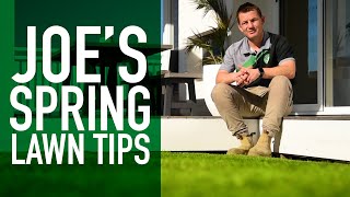 7 Spring Turf Tips from an Industry Expert | Joe’s Favourite Lawn Tips in Preparation for Spring