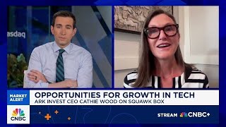 Palantir Can Hit $1000 Said By Cathie Wood & Alex Karp | Palantir Stock Prediction