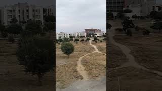 Getting into Dream college seems to be a dream #iimr #ipm #ipmat2024