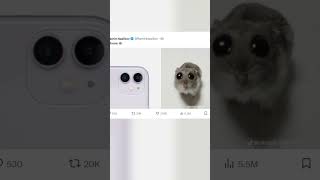 😮iPhone 16 New Camera! bUt Hamster mode:    #shorts #tenorshare#ios18