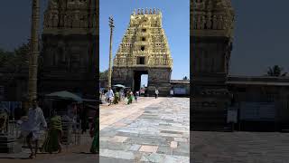 Shri Chennakeshava Swamy Temple #beluru #viral #shorts #karnataka