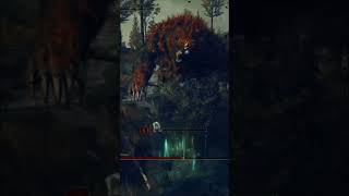 #eldenring #eldenringshadowoftheerdtree #ps5 #bossfight #eldenringgameplay #gaming #4khdr