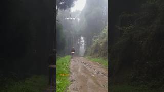 #dhotrey  #darjeeling #manebhanjan #northbengal #vivxtrails #travelblogger #mountains #india