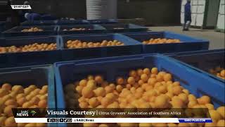 SA citrus growers look to expand reach to realise export potential