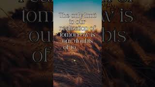 "100 Powerful Life Wisdom Quotes You’ll Never Forget ✨ | Timeless Philosophy"