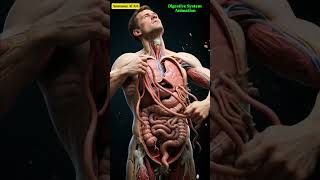 Digestive System Animation | Gut AI Art #DigestiveSystem #trending #Anatomy #CGIAnimation #reels