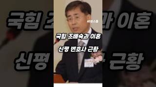국힘 조배숙과 이혼한 신평 변호사 근황