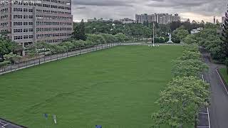 大草坪_國立清華大學
