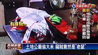 土地公廟偷大米 竊賊竟然是「老鼠」－民視新聞