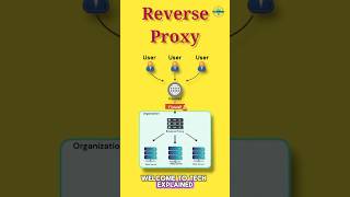 What is Reverse Proxy? #shorts