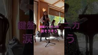 鍵盤ハーモニカで「涙そうそう」 #ピアニカ #ピアノ #鍵盤ハーモニカ #ケンハモ #夏川りみ #森山良子