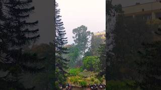 Lemon New Shorts Video. Guwahati Medical College And Hospital.