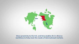 Digital Media & Interactive Overview - Animated