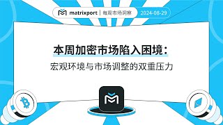 本周加密市场陷入困境：宏观环境与市场调整的双重压力