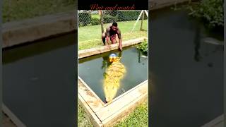 Colapi Golapi song || #magic #shorts #song