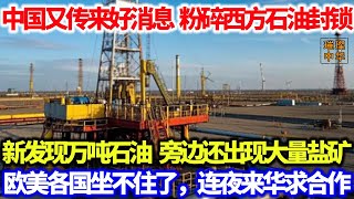 中国又传来好消息，新发现万吨石油，旁边竟还出现盐矿，粉碎石油封锁，欧美各国羡慕，连夜来华求合作 #能源 #石油 #矿区