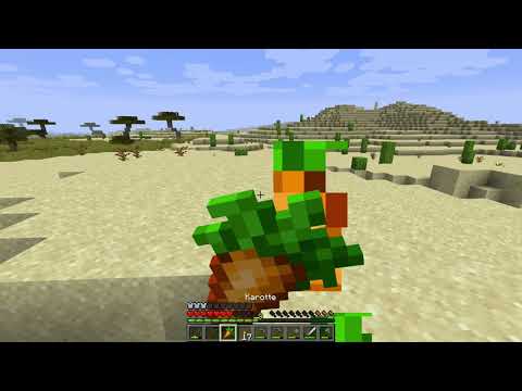 minecraft survival #5